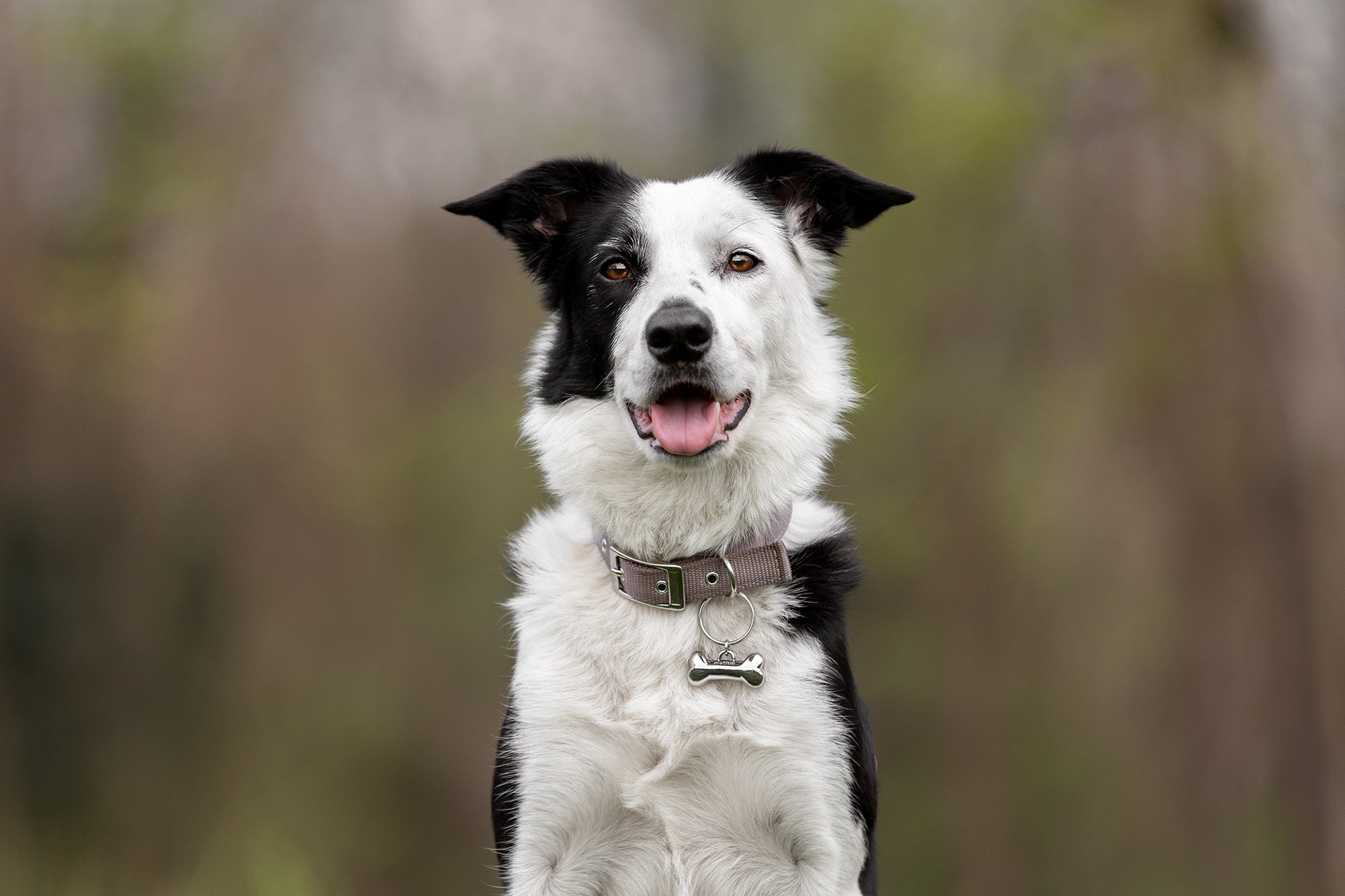 PawCharm™ il ciondolo Luxury by Matissa®