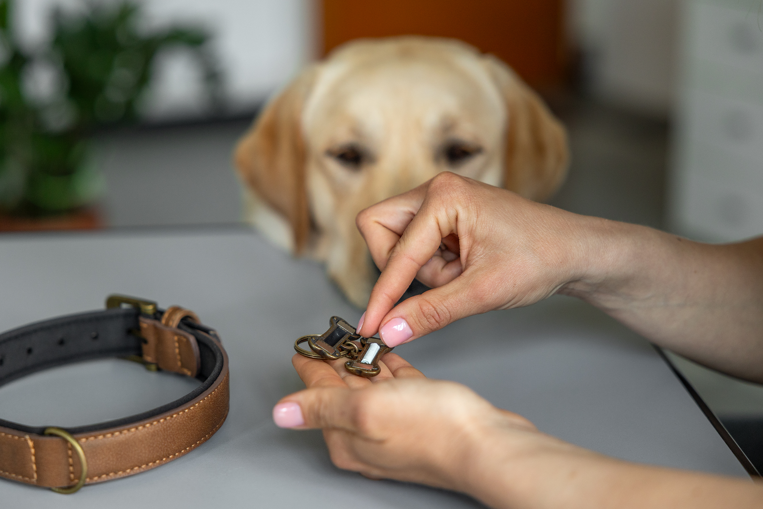 PawCharm™ il ciondolo Luxury by Matissa®